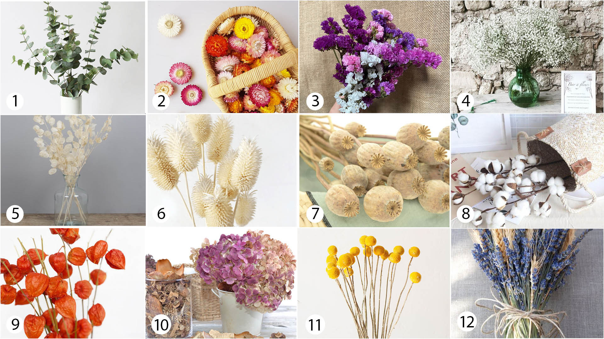 5 variétés de fleurs et feuillages à faire sécher soi-même – France Fleurs  le Blog